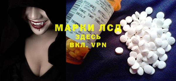 крисы Гусев