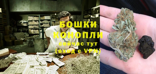 шишки Гусь-Хрустальный