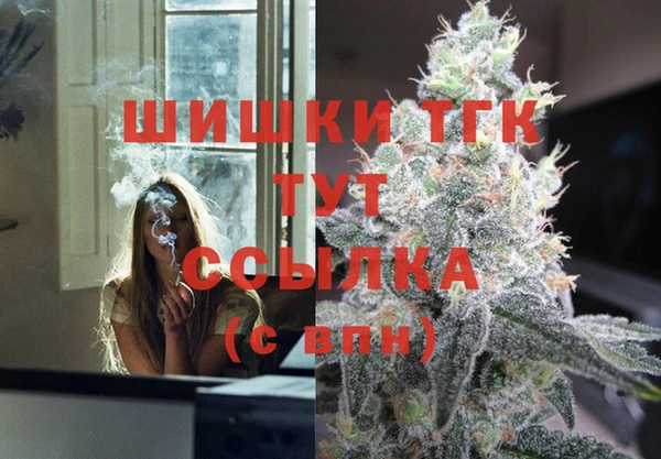крисы Гусев
