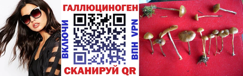 магазин  наркотиков  Салават  KRAKEN tor  Галлюциногенные грибы Magic Shrooms 